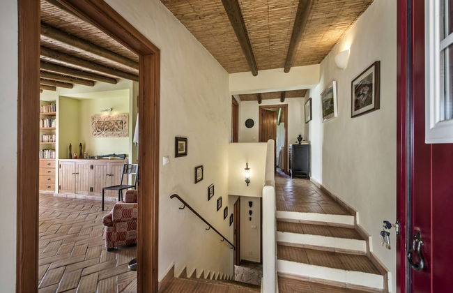 Quinta dos Medronheiros - Foto 13