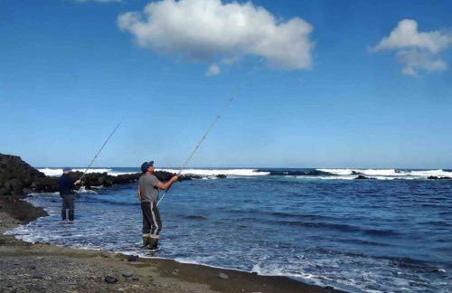 Alvarenga House - Photo 15