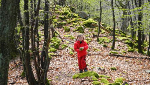 Am Stadtgarten - Foto 5
