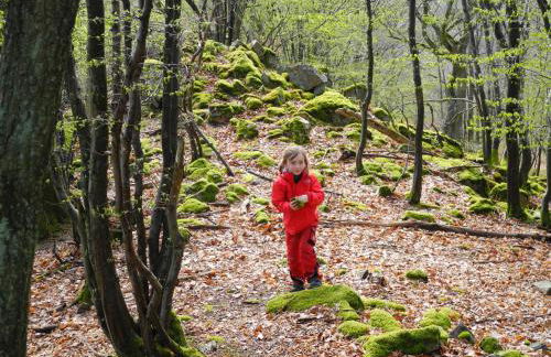 Am Stadtgarten - Foto 5