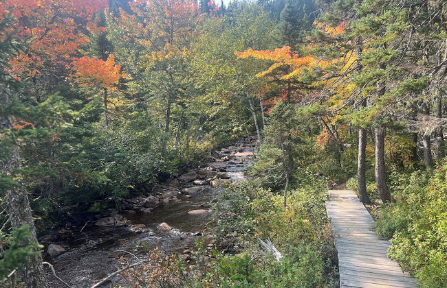 Indian Falls Chalets - Photo 51