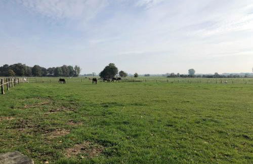 Ferienpark Geesthof - Foto 14