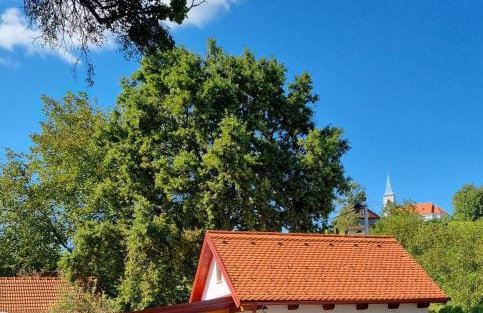 Holiday Old stone house - Foto 1