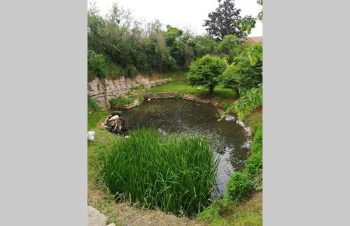 Studio au bord de l'étang - Foto 13