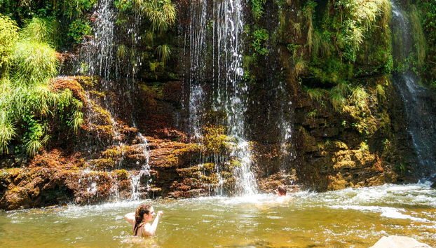 Enjoy the natural beauty of Brazil on this day trip hike