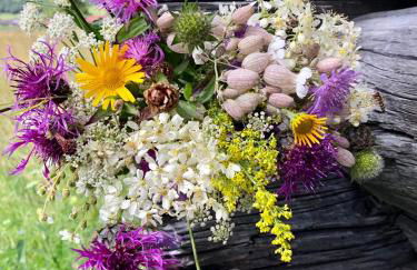 Ferienwohnungen Am Kranzbach FeWo1 - Foto 53