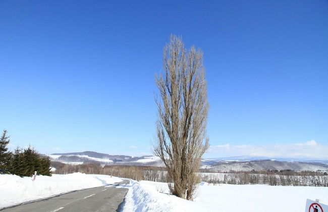 Stay in Biei - Foto 62