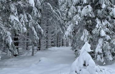 Bergstadthütte Harz - Foto 18