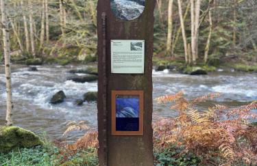 La petite vallée - Photo 32