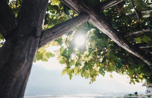 Der Ruibacher - Foto 4