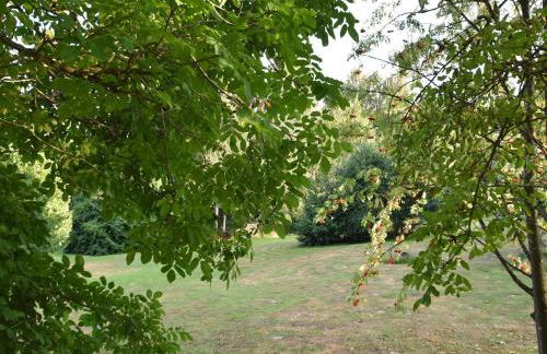 Gemütliche Wohnung in Flussnähe in Regen Bayern - Foto 35