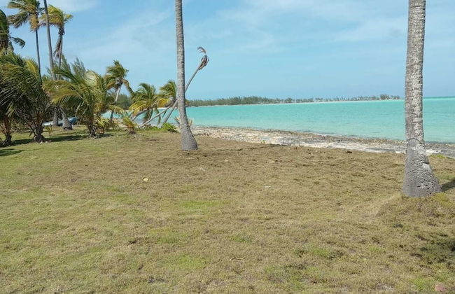 Alvira's Place - Foto 25