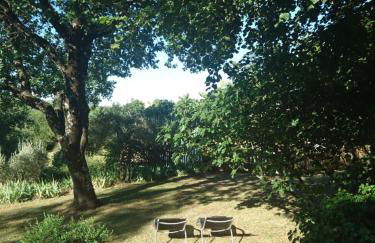 La Figalie - Foto 22