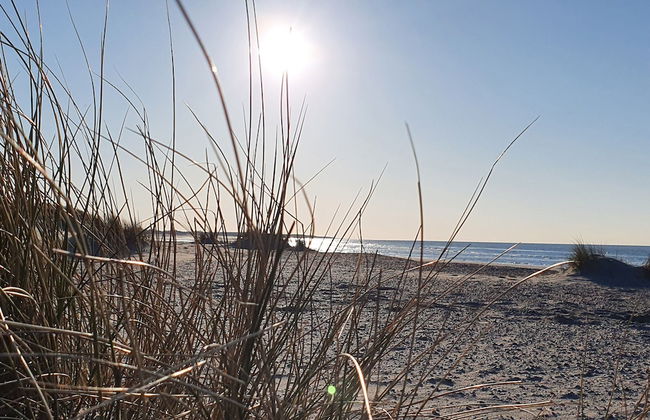 Holiday Home in Colijnsplaat - Photo 36