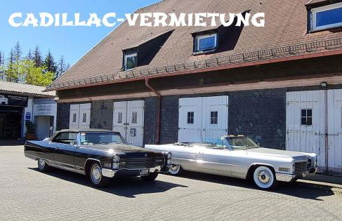 Ferienwohnung Ollywood, Natur pur im Westerwald, 2 bis 4 Personen - Photo 28