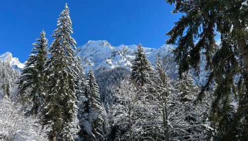 Le chalet Leïla - Foto 5