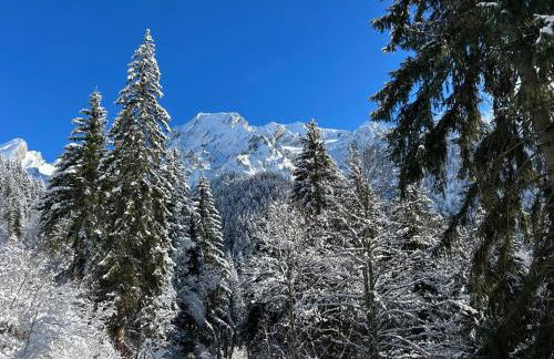 Le chalet Leïla - Foto 5