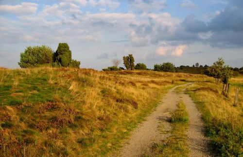 Fewo-Mundi - Foto 42