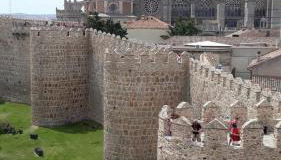 El Cedro Llorón - Foto 3