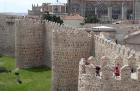 El Cedro Llorón - Foto 3