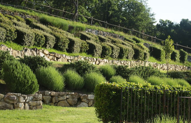 SPAO Borgo San Pietro AquaeOrtus - Foto 58