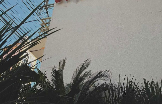 Binder Hotel Mogi Guacu - Photo 28