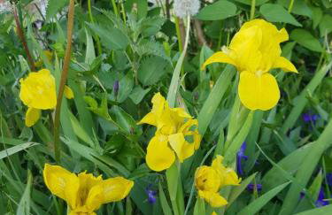 Gandelinka Park Kędrzyno - Foto 23