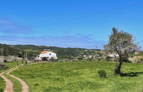 Casa Martim - Foto 45