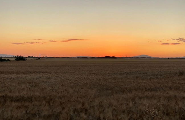 Farmhouse Near Montalto di Castro Beaches - Foto 42