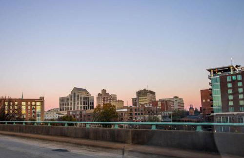 Quiet GVL Home Walk to DownTown - Foto 60