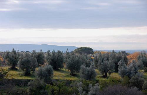 Agriturismo Quattro Pini - Foto 49