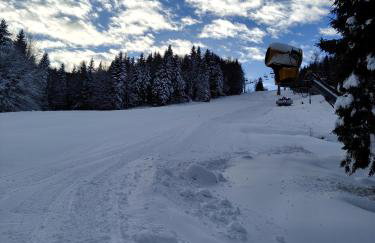 MICHAŁÓWKA - Domek w Górach przy Lesie - Energylandia - Foto 16