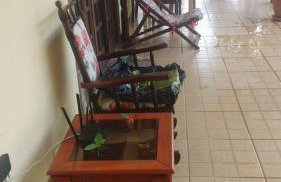 Vale das Estrelas - vale das videiras - araras - Foto 34