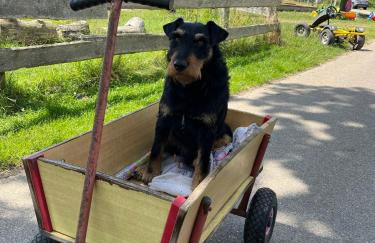 Reihenhaus Geltinger Bucht - Foto 26