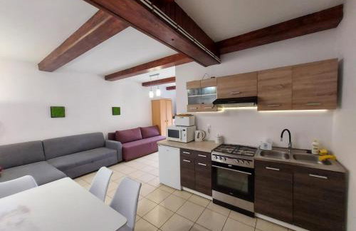 Mieszkanie nad jeziorem Rydzówka+prywatny staw+plaża+Mazury - Foto 28