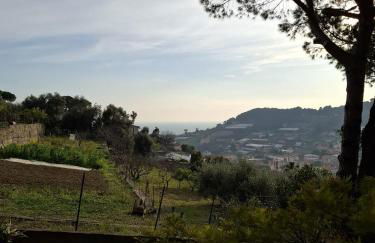 Le Mimose Garden - Photo 20