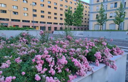 Milan Space Loft - Apartment close to M5 subway - Free Parking - Sky & Netflix TV - Foto 30