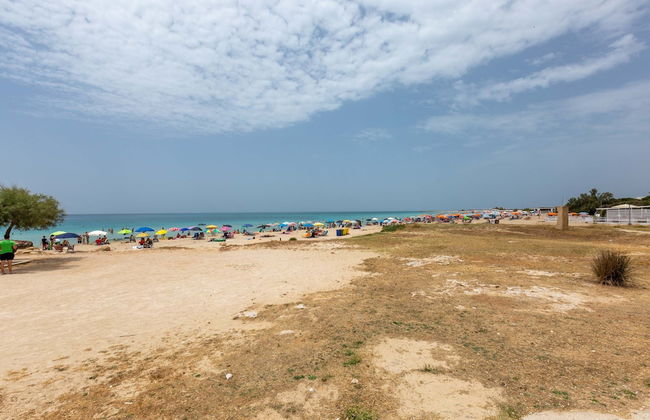 2460 Trilo Damiani by Barbarhouse - Foto 14