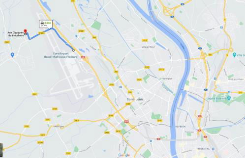 Aux cigognes de Blotzheim - Foto 15