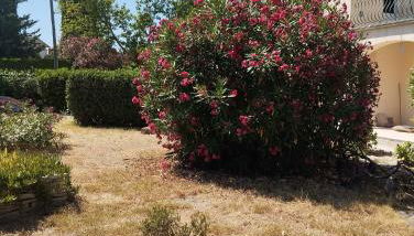 Spacieuse villa - Foto 5, Garden