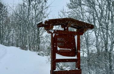 Appartamento Ciclamino - Foto 61