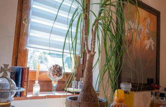 Cathedral-luxury-stay sauna & massage - Foto 21