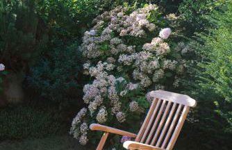 Sünn un See - Hortensienblick - Foto 12