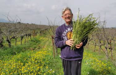 La Perla De la Ostra - Foto 36