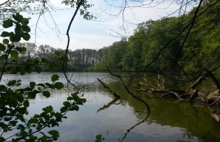 Ferienwohnung Wroblewsky - Foto 26