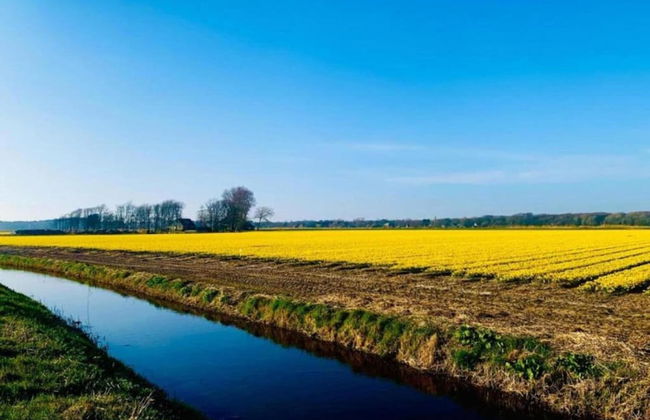 Apartment in Bergen Near Schoorl Dunes - Photo 27