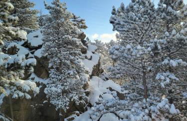 Luxurious Rocky Mountain Retreat above Boulder - Foto 27