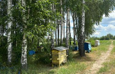 Filipowe Zacisze - Foto 34