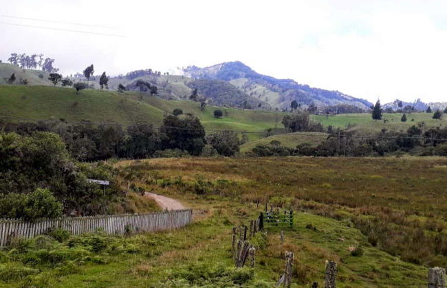 Itinerario privato di trekking a El Bosque + Terme di Canaán - Foto 4