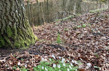 Słoneczna Zatoka - Foto 13